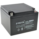 Acumulator plumb-acid sigilat 12V 24Ah SY24-12 reîncărcabil