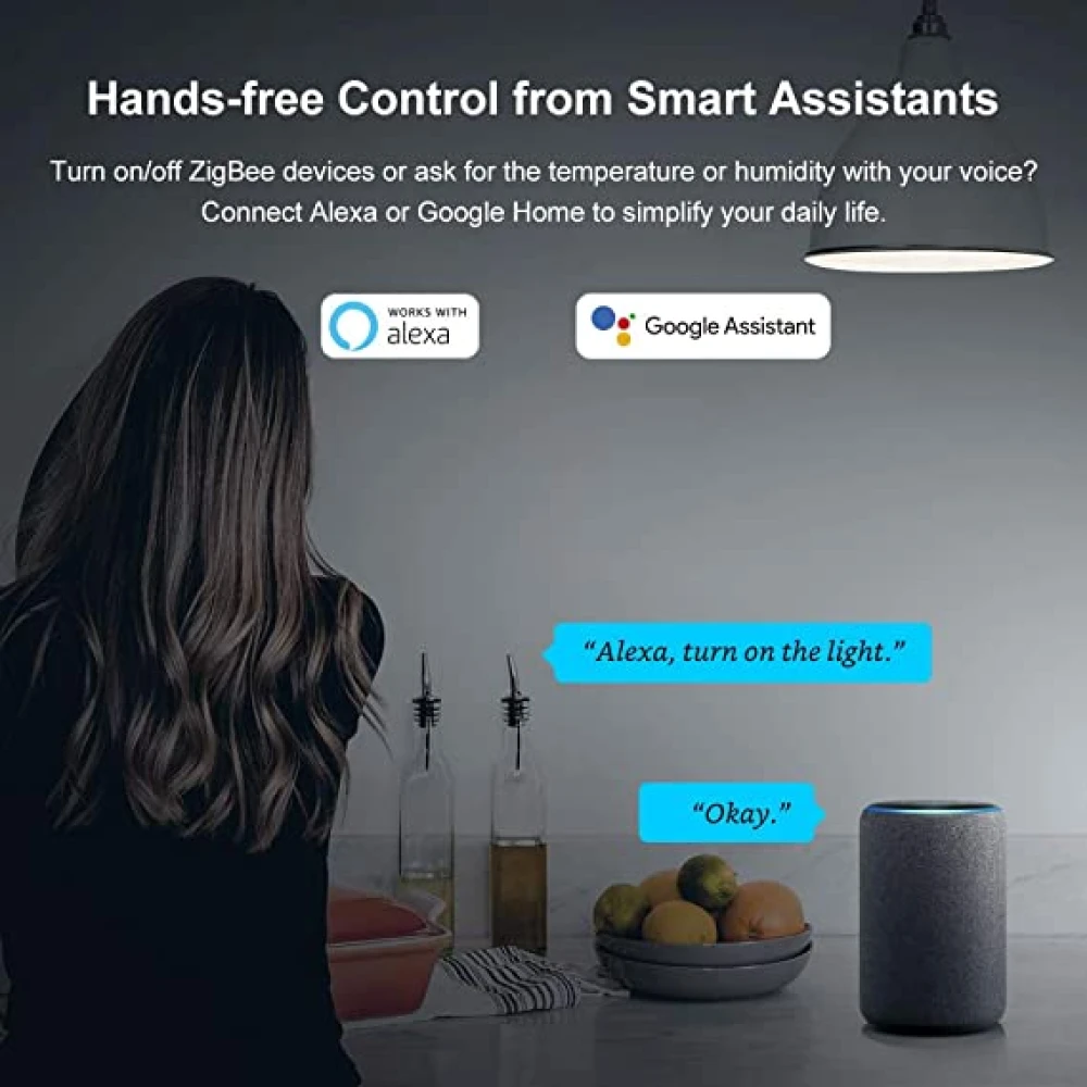 SONOFF ZBBridge: punteu inteligent Zigbee cu suport WiFi și Alexa